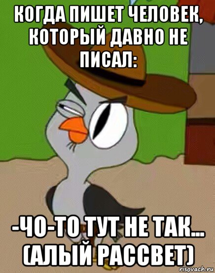 когда пишет человек, который давно не писал: -чо-то тут не так... (алый рассвет), Мем    Упоротая сова