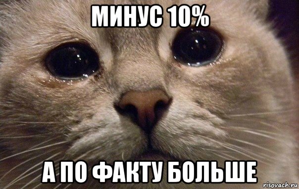 минус 10% а по факту больше, Мем   В мире грустит один котик