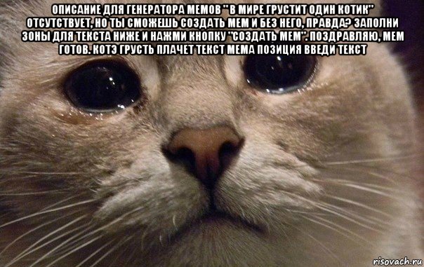 описание для генератора мемов " в мире грустит один котик" отсутствует, но ты сможешь создать мем и без него, правда? заполни зоны для текста ниже и нажми кнопку "создать мем". поздравляю, мем готов. котэ грусть плачет текст мема позиция введи текст , Мем   В мире грустит один котик