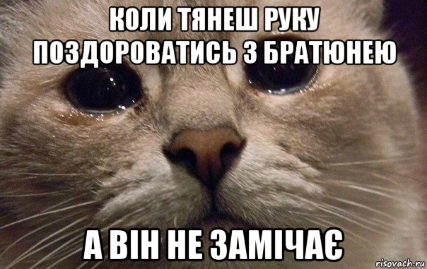 коли тянеш руку поздороватись з братюнею а він не замічає, Мем   В мире грустит один котик