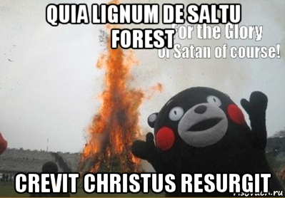 quia lignum de saltu forest crevit christus resurgit, Мем во имя сатаны конечно