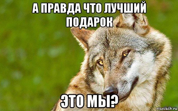 а правда что лучший подарок это мы?, Мем   Volf