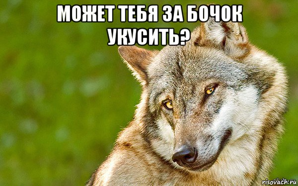 может тебя за бочок укусить? , Мем   Volf