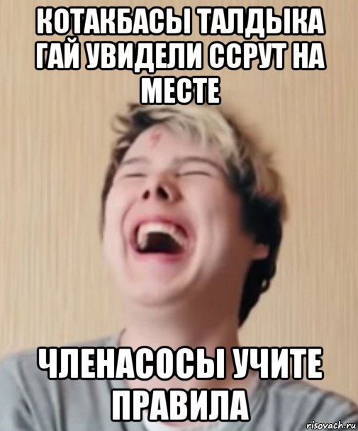котакбасы талдыка гай увидели ссрут на месте членасосы учите правила
