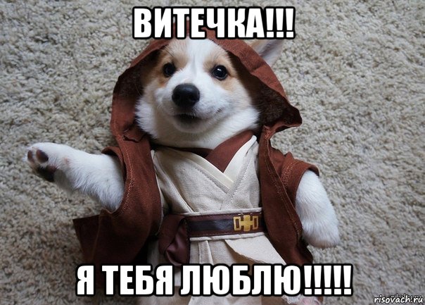 витечка!!! я тебя люблю!!!!!