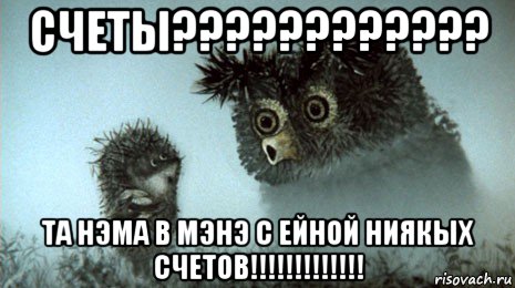 счеты???????????? та нэма в мэнэ с ейной ниякых счетов!!!!!!!!!!!!!