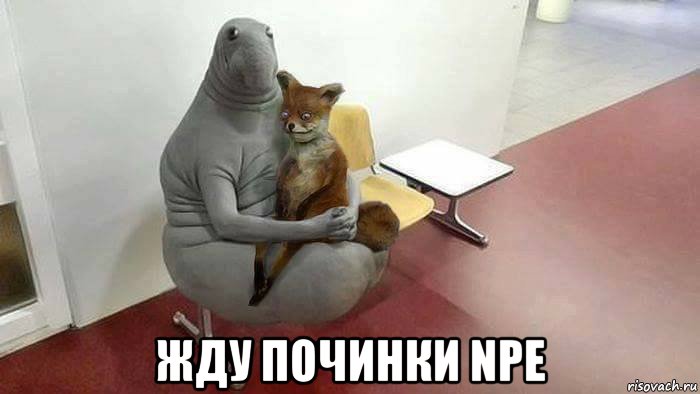  жду починки npe