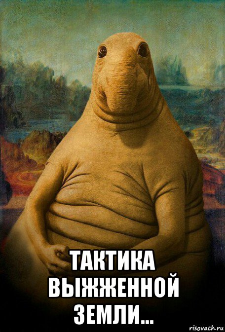  тактика выжженной земли...
