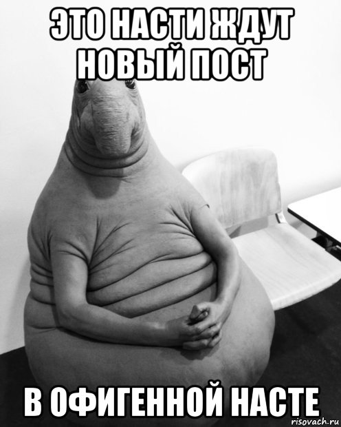 это насти ждут новый пост в офигенной насте, Мем  Ждун