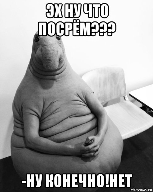 эх ну что посрём??? -ну конечно!нет, Мем  Ждун