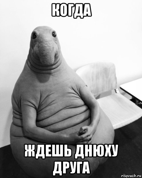 когда ждешь днюху друга, Мем  Ждун