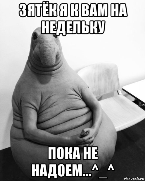 зятёк я к вам на недельку пока не надоем...^_^, Мем  Ждун