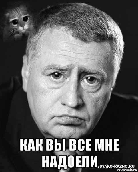  как вы все мне надоели, Мем жириновский