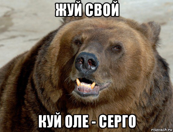 жуй свой куй оле - серго