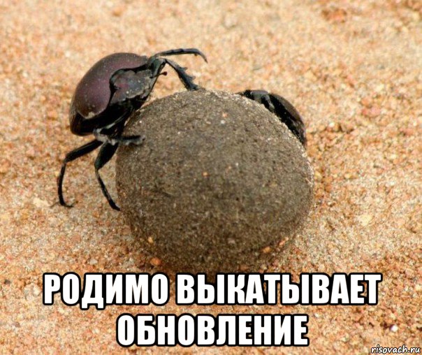  родимо выкатывает обновление