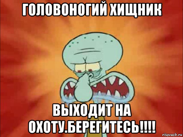головоногий хищник выходит на охоту.берегитесь!!!!