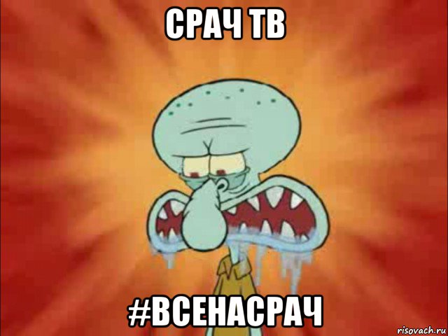 срач тв #всенасрач