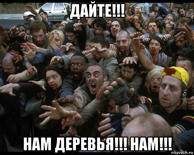 дайте!!! нам деревья!!! нам!!!