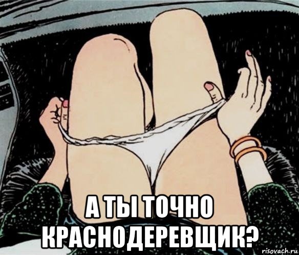  а ты точно краснодеревщик?, Мем А ты точно