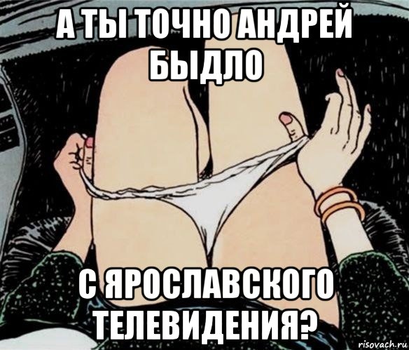 а ты точно андрей быдло с ярославского телевидения?, Мем А ты точно