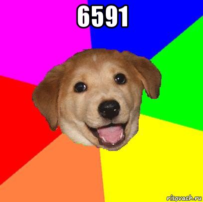6591 , Мем Advice Dog