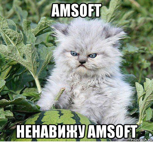 amsoft ненавижу amsoft