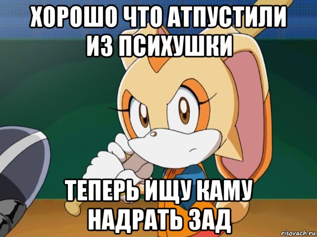 хорошо что атпустили из психушки теперь ищу каму надрать зад