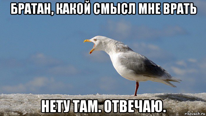 братан, какой смысл мне врать нету там. отвечаю.
