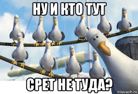 ну и кто тут срет не туда?