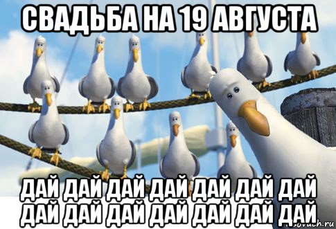 свадьба на 19 августа дай дай дай дай дай дай дай дай дай дай дай дай дай дай