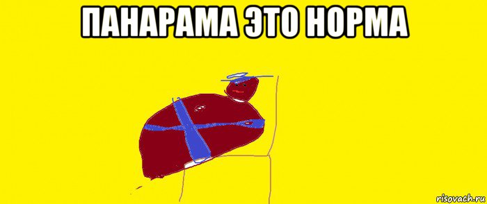панарама это норма 