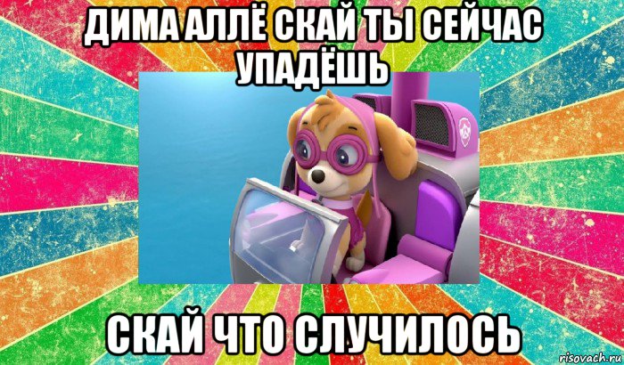 дима аллё скай ты сейчас упадёшь скай что случилось