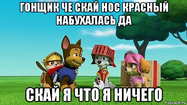 гонщик че скай нос красный набухалась да скай я что я ничего