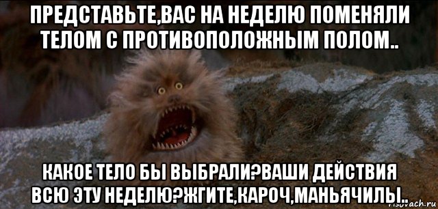 представьте,вас на неделю поменяли телом с противоположным полом.. какое тело бы выбрали?ваши действия всю эту неделю?жгите,кароч,маньячилы..