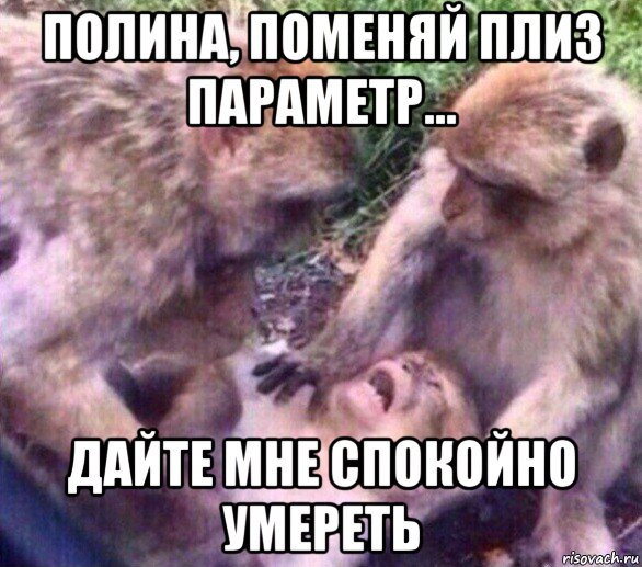 полина, поменяй плиз параметр... дайте мне спокойно умереть, Мем Дайте мне спокойно умереть