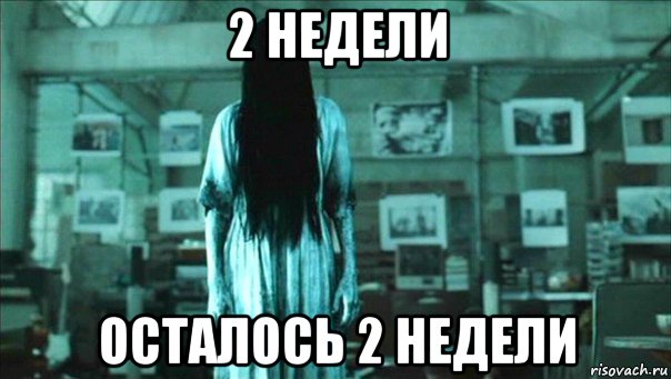 2 недели осталось 2 недели