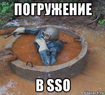 погружение в sso