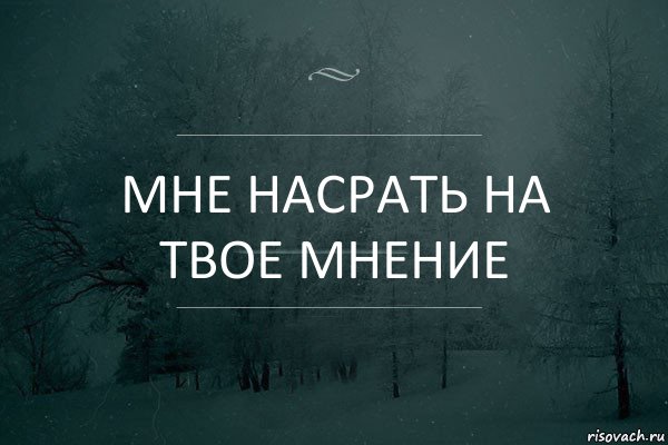 мне насрать на твое мнение