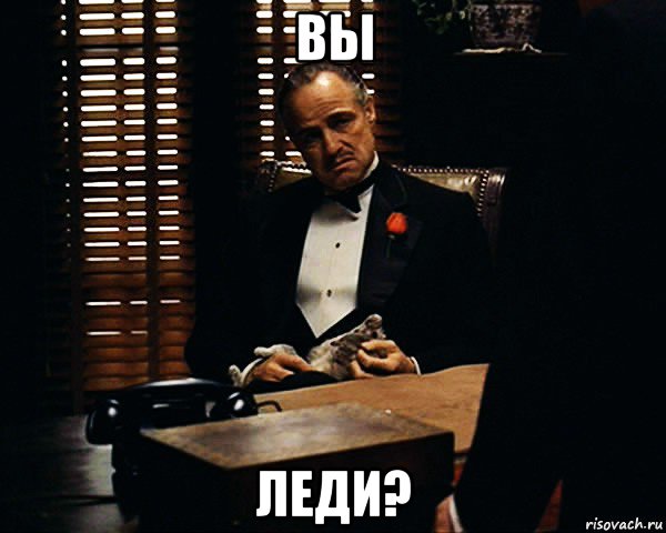 вы леди?