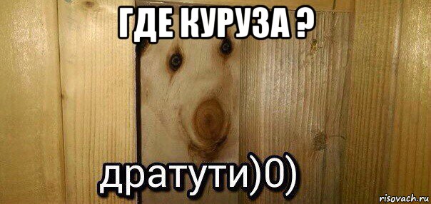 где куруза ? , Мем  Дратути