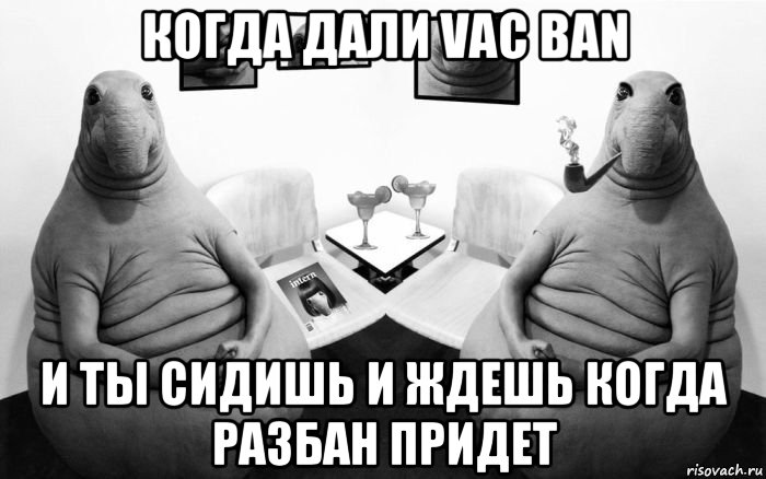 когда дали vac ban и ты сидишь и ждешь когда разбан придет