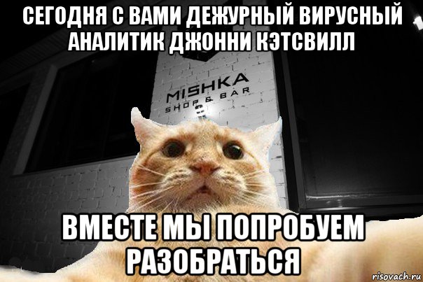 сегодня с вами дежурный вирусный аналитик джонни кэтсвилл вместе мы попробуем разобраться, Мем   Джонни Кэтсвилл