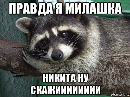 правда я милашка никита ну скажииииииии