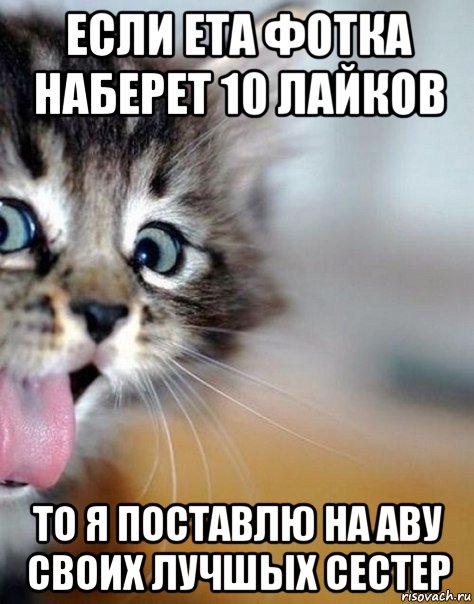 если ета фотка наберет 10 лайков то я поставлю на аву своих лучшых сестер