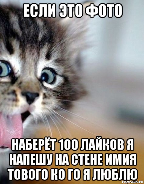 если это фото наберёт 100 лайков я напешу на стене имия тового ко го я люблю