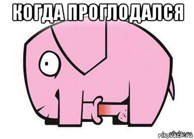 когда проглодался , Мем Это член