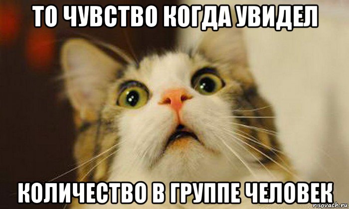то чувство когда увидел количество в группе человек