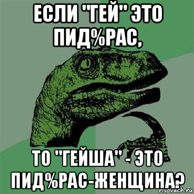 если "гей" это пид%рас, то "гейша" - это пид%рас-женщина?, Мем Филосораптор