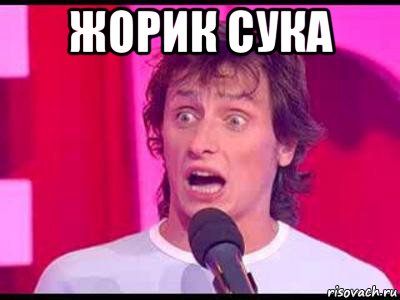 жорик сука 