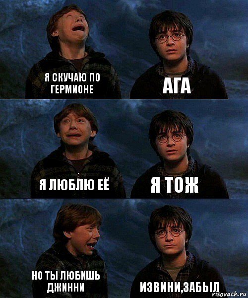 Я скучаю по Гермионе Ага Я люблю её Я тож Но ты любишь Джинни Извини,забыл